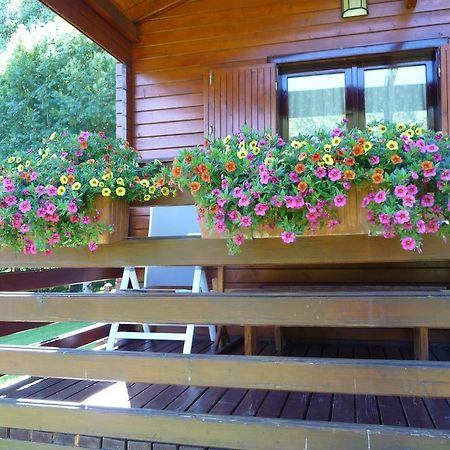 Apartament Maldagorri Ezkurra Zewnętrze zdjęcie